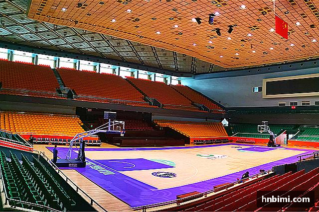球探体育 - 聚焦NBA/英超等顶级赛事,挖掘独家数据价值品牌介绍